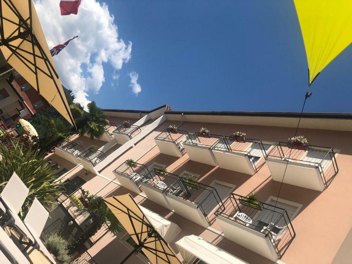 Alberello 3*